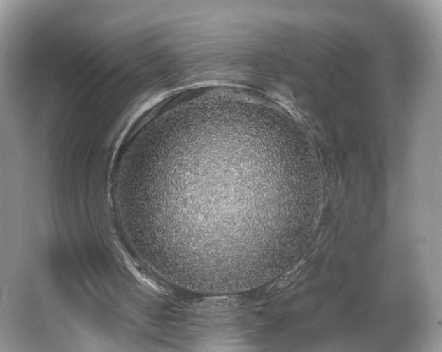 X0000067460050200604101143