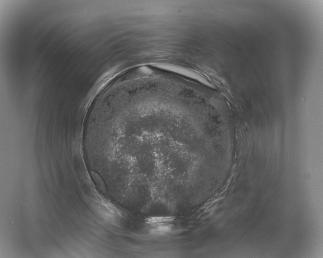 X0000067460051200604101143