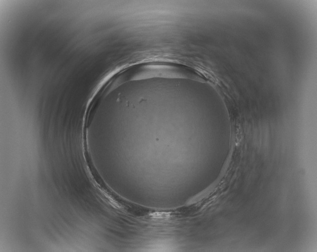 X0000067460052200604101143