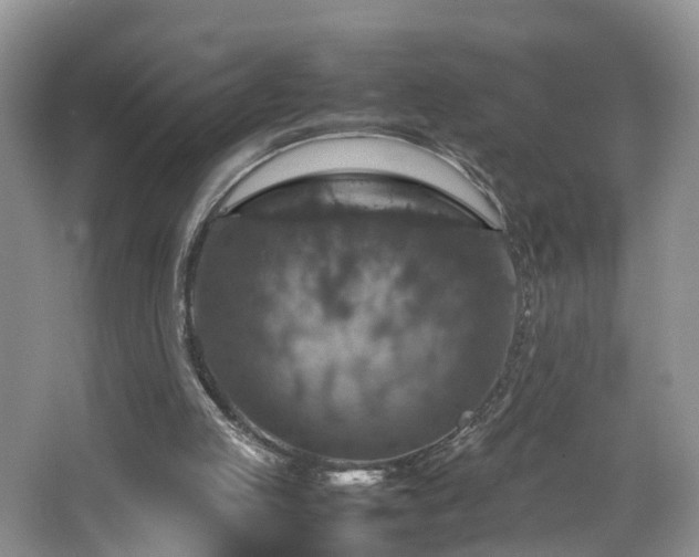 X0000067460053200604101143