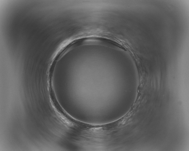 X0000067460054200604101143