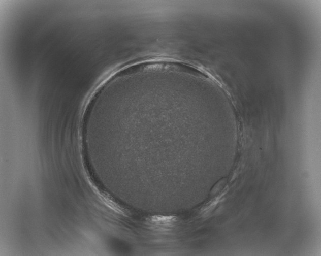 X0000067460055200604101143