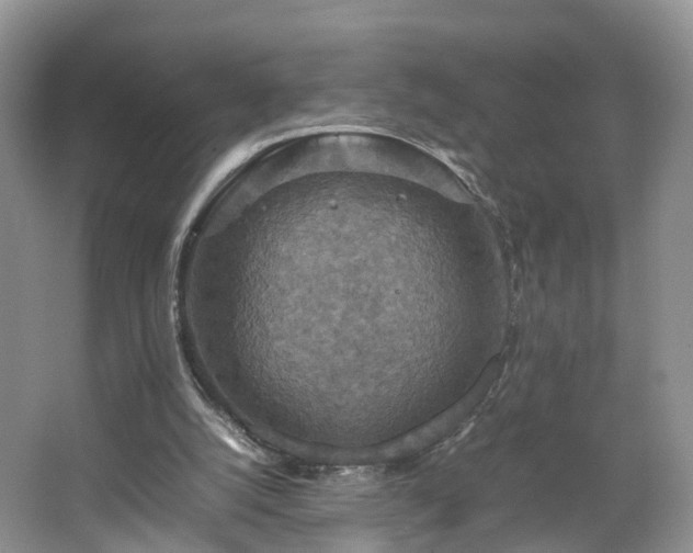 X0000067460056200604101143