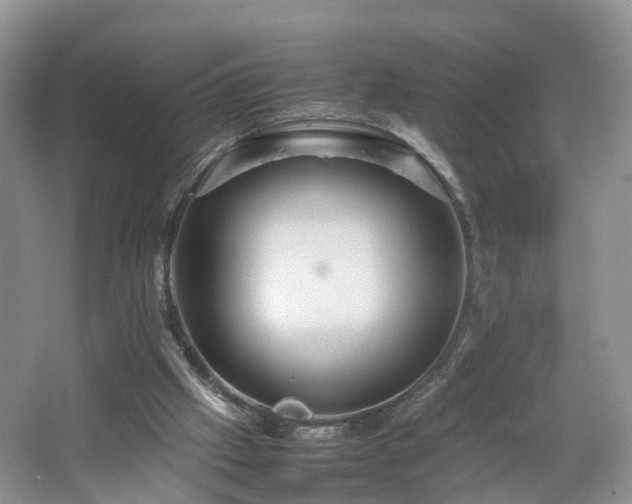 X0000067460057200604101143