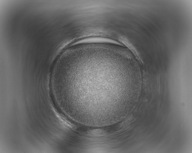 X0000067460058200604101143