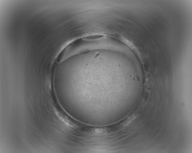 X0000067460060200604101143