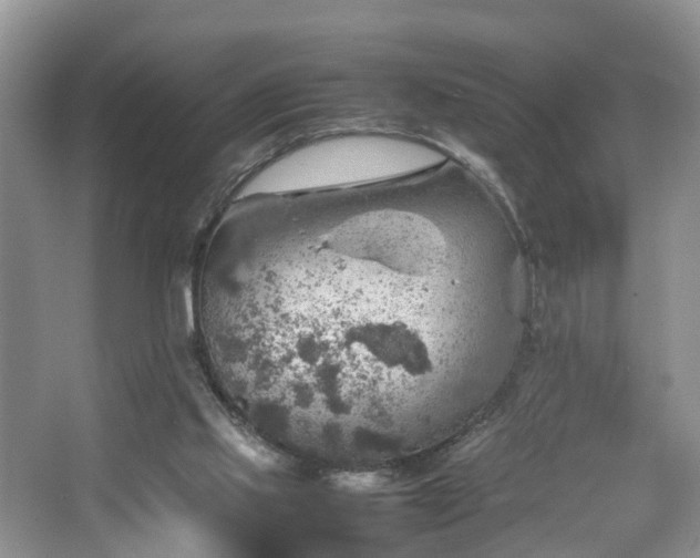 X0000067460061200604101143