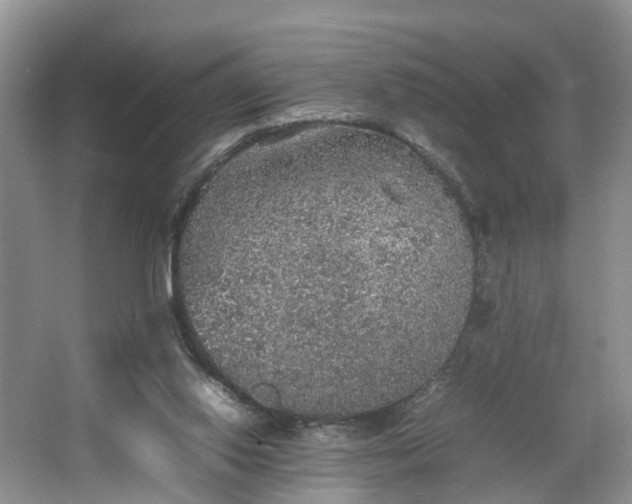 X0000067460062200604101143