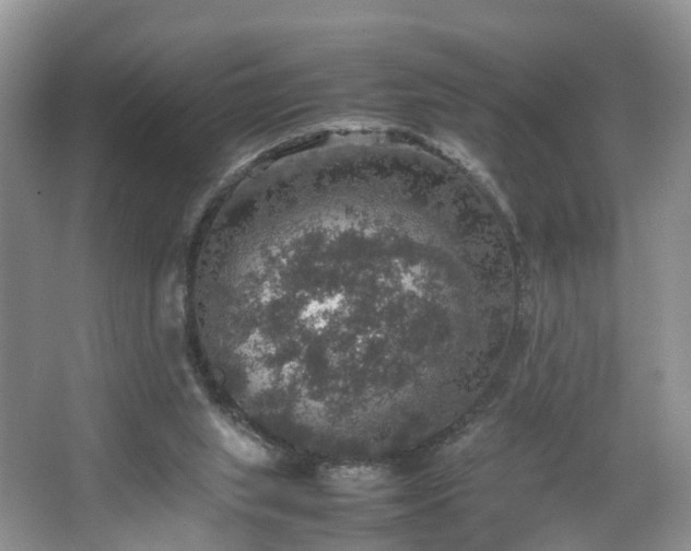 X0000067460063200604101143