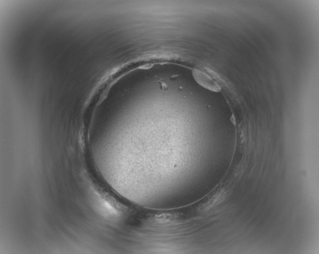 X0000067460064200604101144