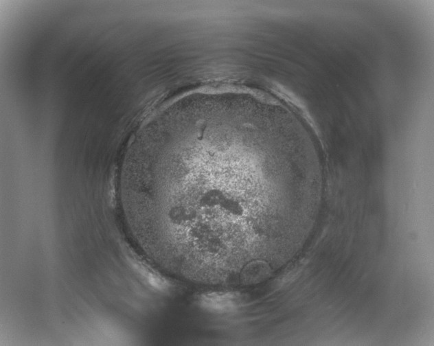 X0000067460065200604101144