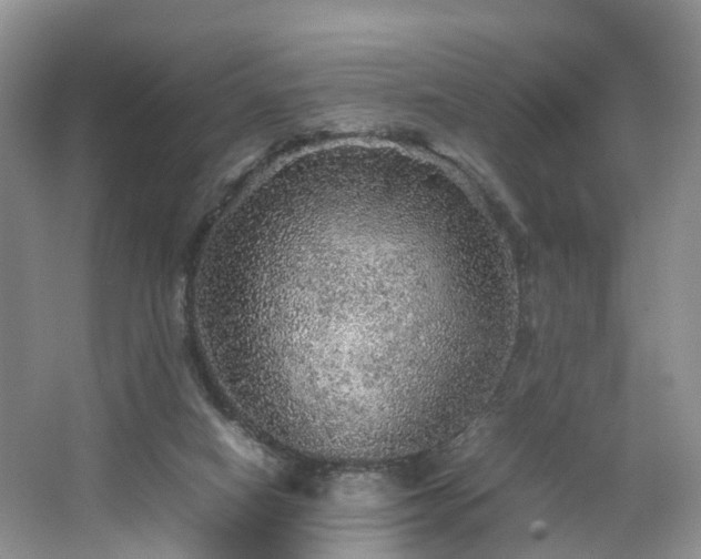 X0000067460066200604101144