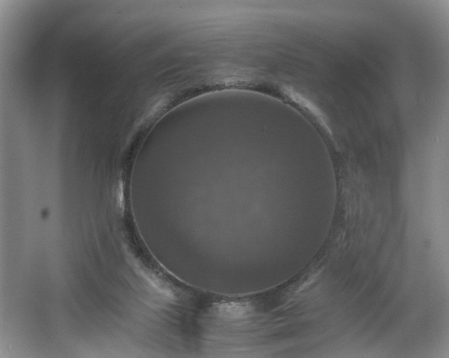 X0000067460067200604101144