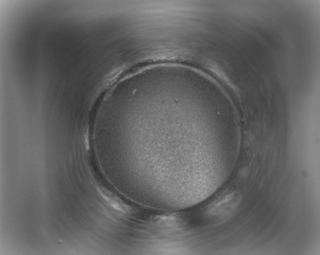 X0000067460068200604101144