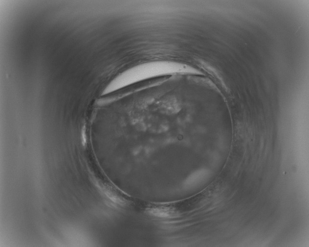 X0000067460069200604101144