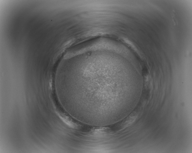 X0000067460072200604101144