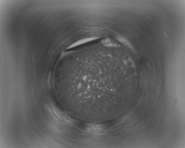 X0000067460073200604101144