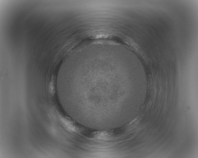 X0000067460074200604101144