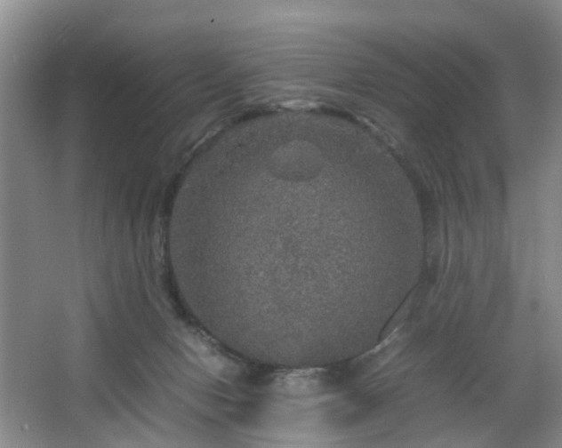 X0000067460078200604101144