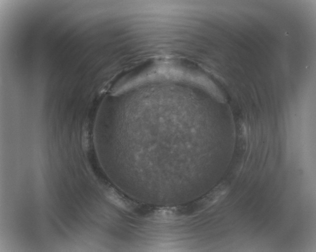 X0000067460080200604101144