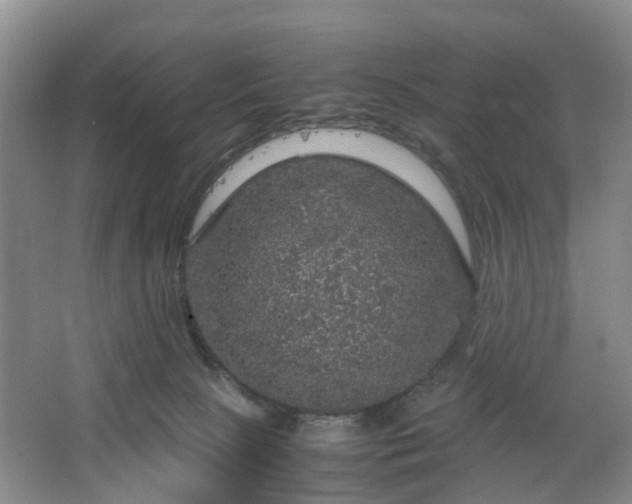 X0000067460081200604101144