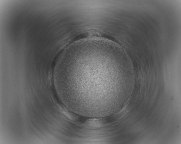 X0000067460082200604101144