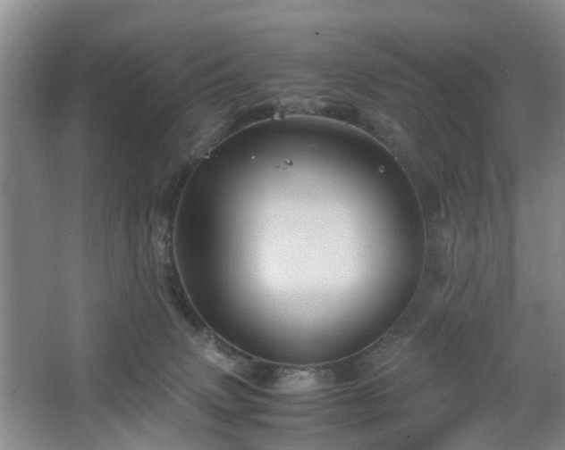 X0000067460083200604101144