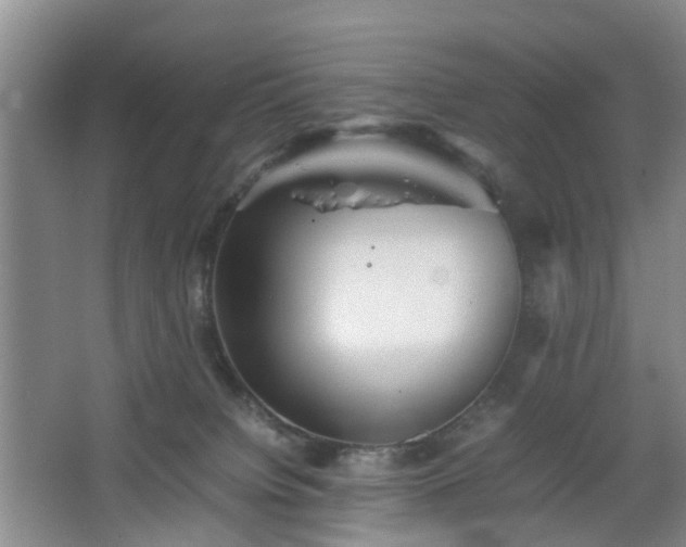 X0000067460084200604101144