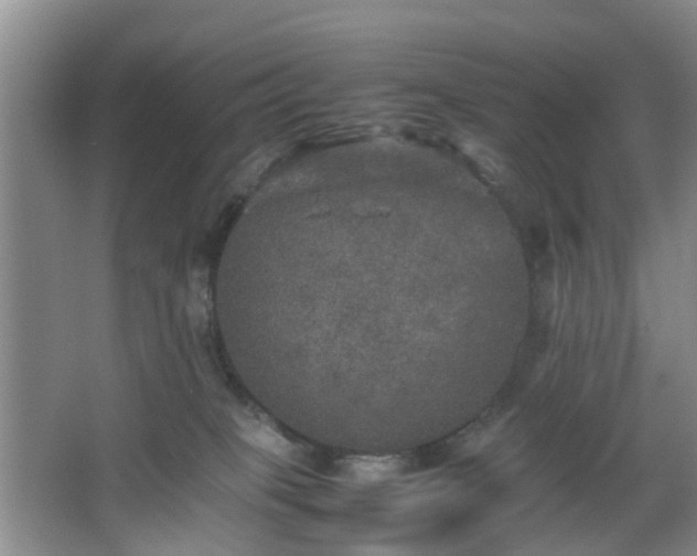 X0000067460085200604101144