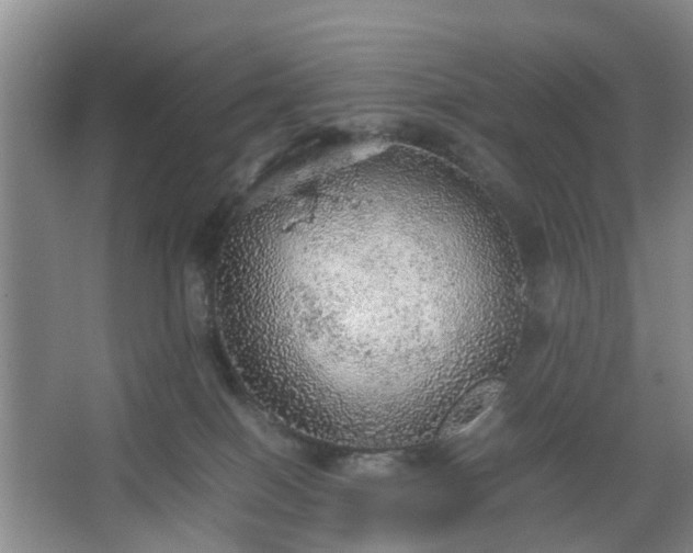 X0000067460086200604101144