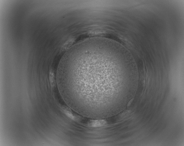 X0000067460087200604101144