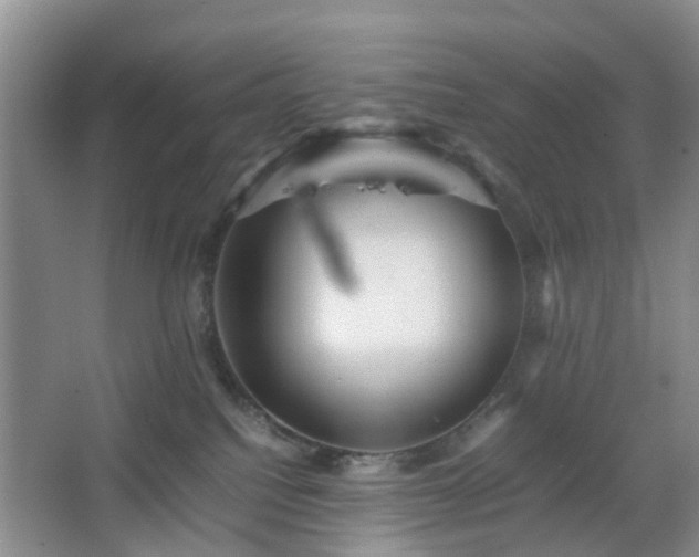 X0000067460088200604101144