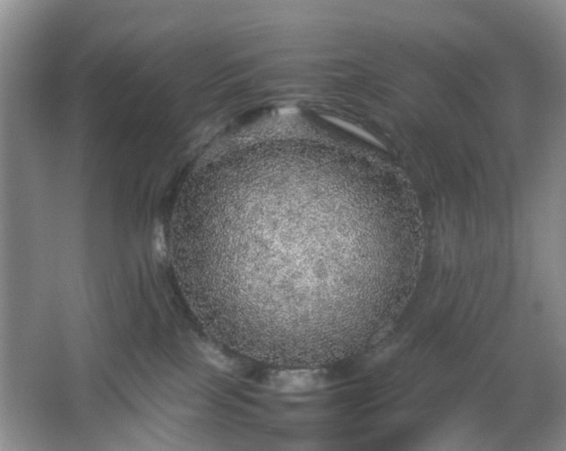 X0000067460089200604101144