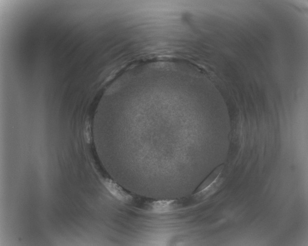 X0000067460090200604101144