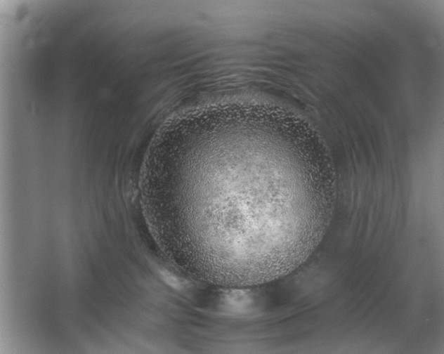 X0000067460091200604101144