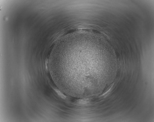 X0000067460094200604101144