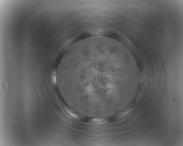 X0000067460095200604101144