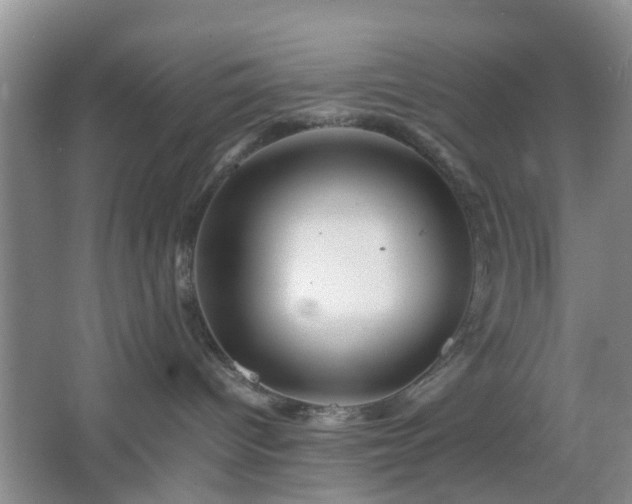 X0000067460096200604101144