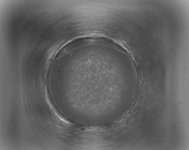 X0000067460097200604101143