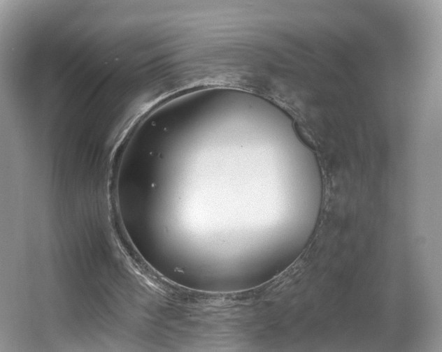 X0000067460098200604101143