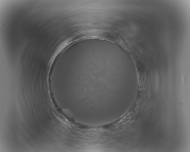 X0000067460099200604101143