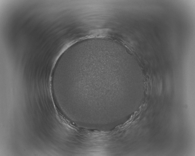 X0000067460100200604101143