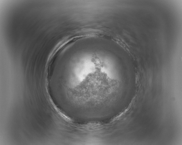 X0000067460101200604101143