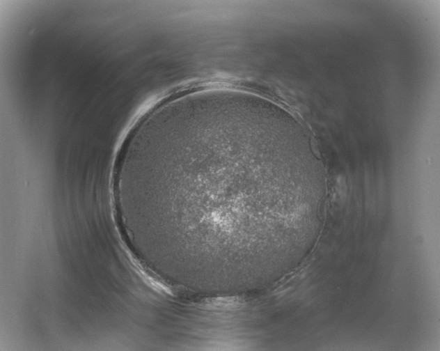 X0000067460102200604101143