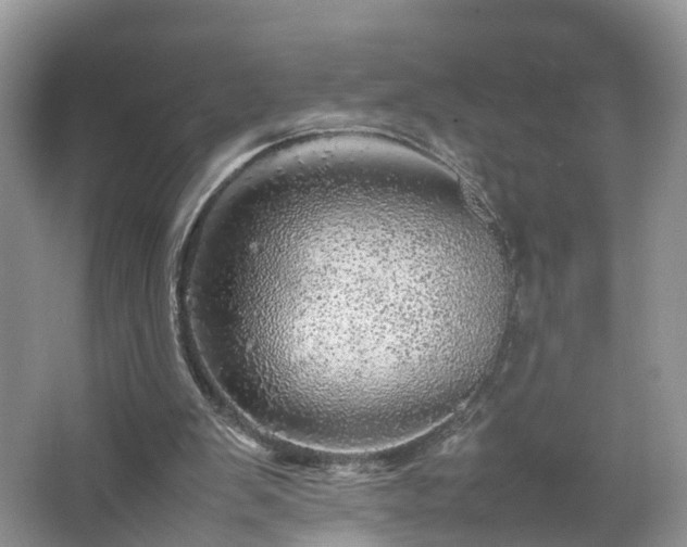 X0000067460103200604101143