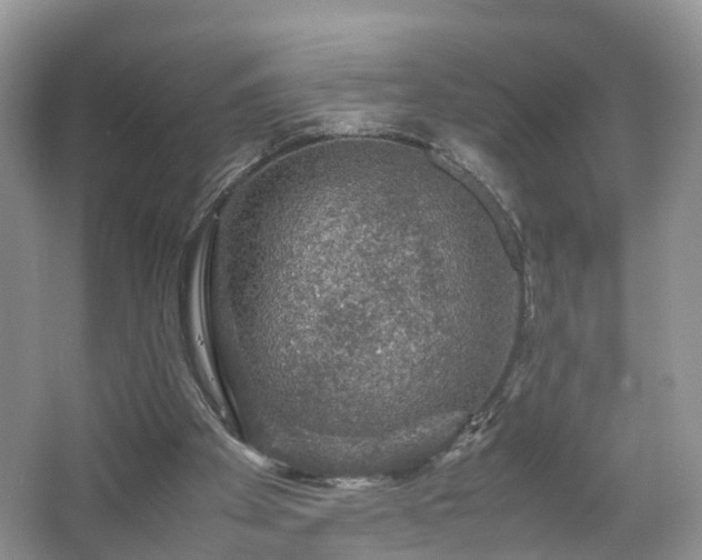 X0000067460105200604101143