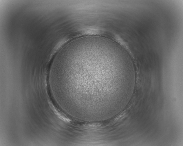 X0000067460106200604101143