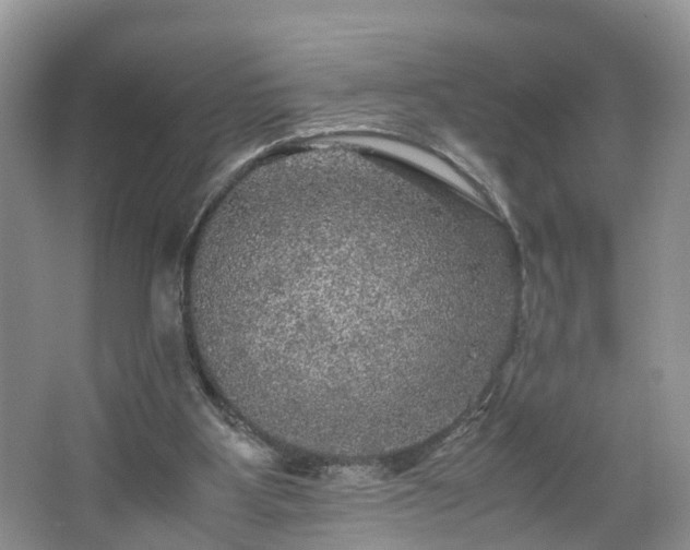 X0000067460107200604101143