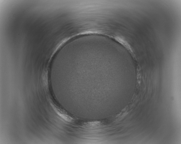 X0000067460108200604101143