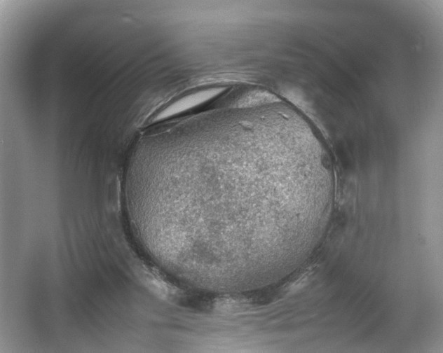 X0000067460109200604101143